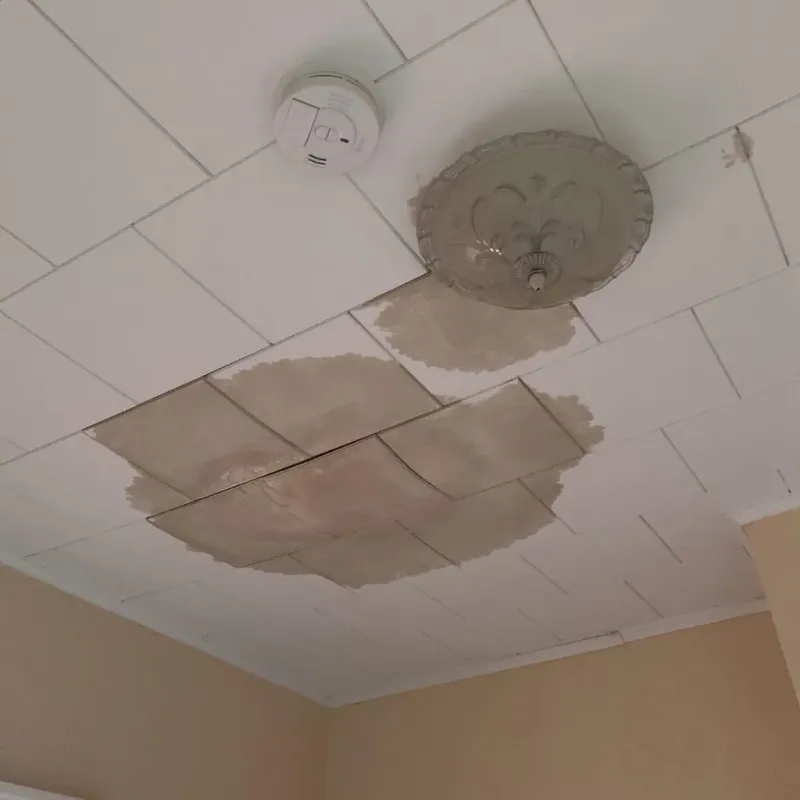 Ceiling Water Damage Repair in Tawas City, MI