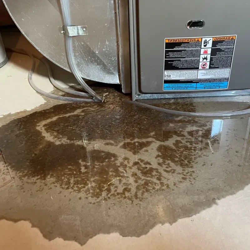 Pipe Burst and Leak Restoration in Tawas City, MI